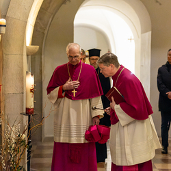 Dies Academicus 2024 / Erzdiözese Wien/Schönlaub