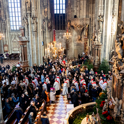 Stephanifest / Erzdiözese Wien/Schönlaub, Stephan Schönlaub