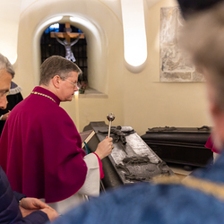 Dies Academicus 2024 / Erzdiözese Wien/Schönlaub