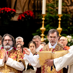 Stephanifest / Erzdiözese Wien/Schönlaub, Stephan Schönlaub