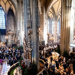 Stephanifest / Erzdiözese Wien/Schönlaub, Stephan Schönlaub