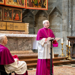 Erzdiözese Wien/ Schönlaub, Stephan Schönlaub